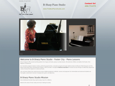 thebestpianostudio.com snapshot