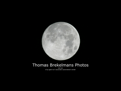 thomasbrekelmans.com snapshot