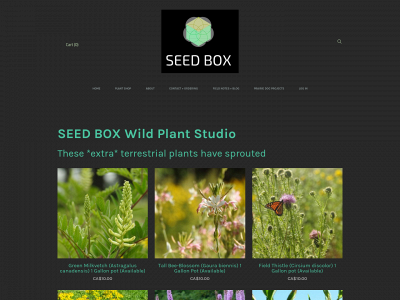 www.seedbox.studio snapshot