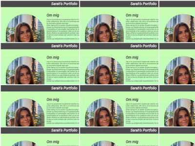 sarahfrei.dk snapshot