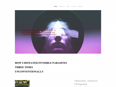 scabies-my-diy-diary.weebly.com snapshot