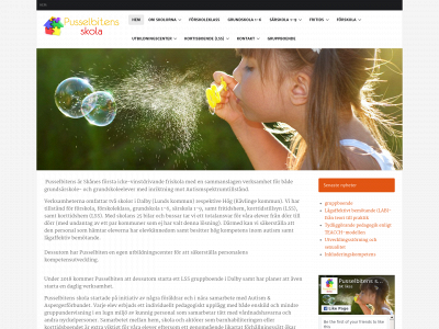 pusselbitensskola.se snapshot