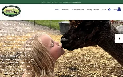 mysterysmeadowiowa.com snapshot