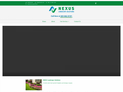nexustx.com snapshot