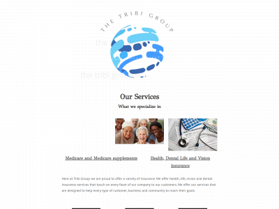 www.thetribigroup.com snapshot