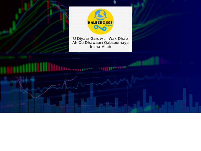 halbeegsos.com snapshot