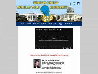 whichchildwouldyouchoose.com snapshot