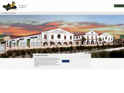 aceitunaselencinarejo.es snapshot