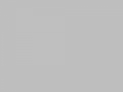 zazi.com snapshot