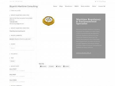 brymarconsulting.com snapshot
