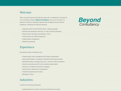 beyondconsultancy.be snapshot