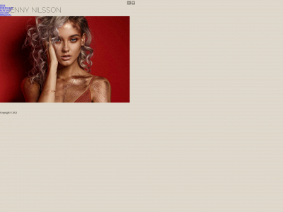 jennynilssons.com snapshot
