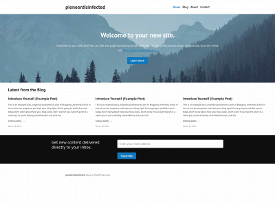 pioneerdisinfectantservice.com snapshot