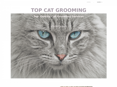 topcatgrooming.co.uk snapshot