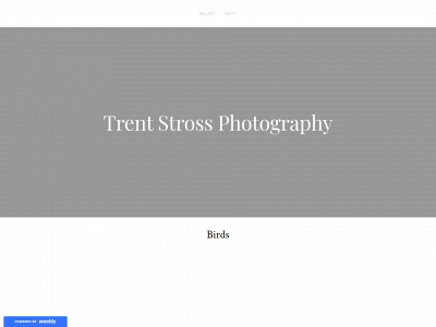 trentstross.weebly.com snapshot