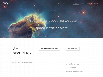 2021andrewd.weebly.com snapshot