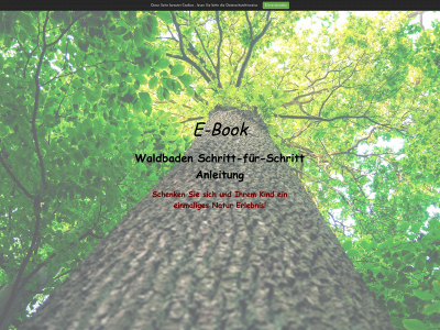waldbadeanleitung.ch snapshot