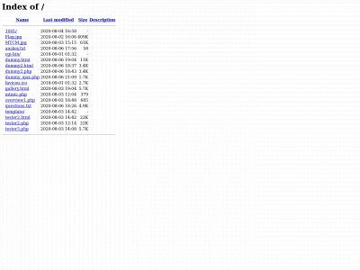 mtmic.net snapshot