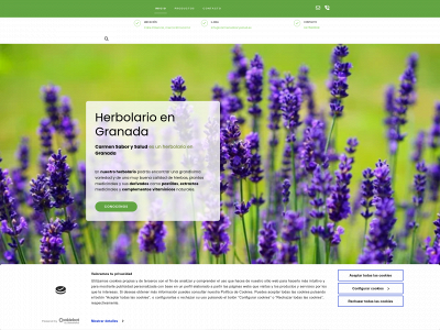 www.carmensaborysalud.es snapshot