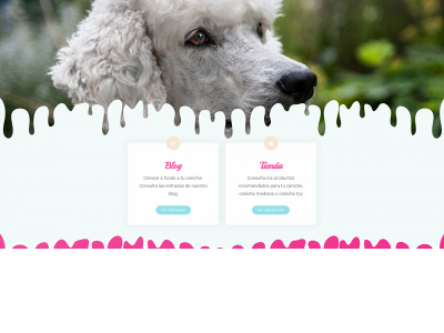 elrincondelcaniche.com snapshot