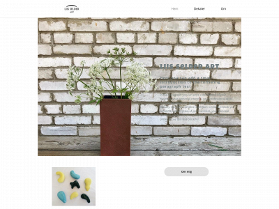 liisselderart.com snapshot