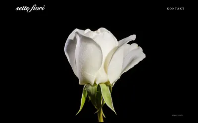 sette-fiori.com snapshot