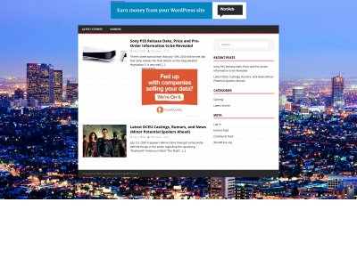theprofessionalloner.com snapshot