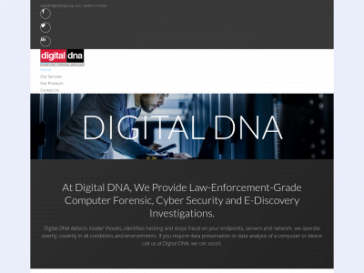digitaldnagroup.com snapshot