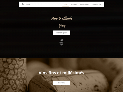 aux9tilleulsvins.be snapshot