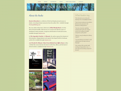 adinasara.com snapshot