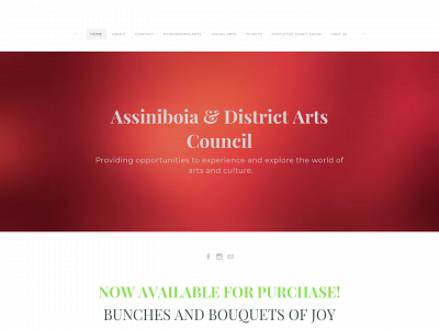 www.assiniboiaartscouncil.ca snapshot