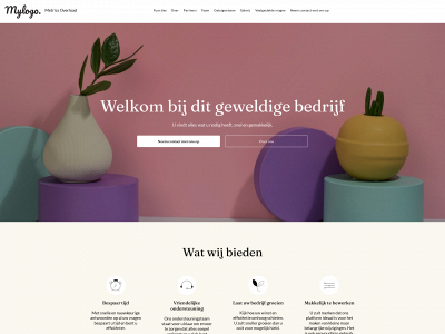 metricsoverload.nl snapshot