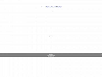 applemuseo.com snapshot