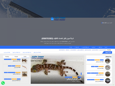 mooncleaner.com snapshot