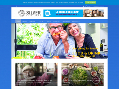silverlifestyle.uk snapshot