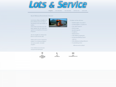 lotsservice.com snapshot