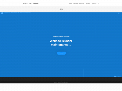 bluemoonengineering.com snapshot