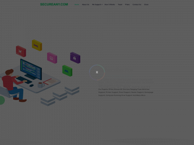 secureany.com snapshot