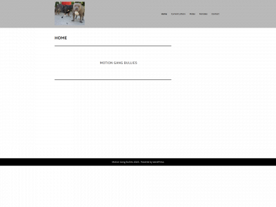 motiongangbullies.com snapshot