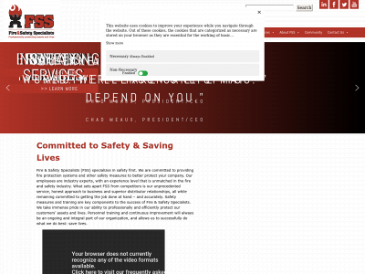 teamfss.com snapshot