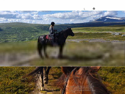 ljungdalensturridning.se snapshot