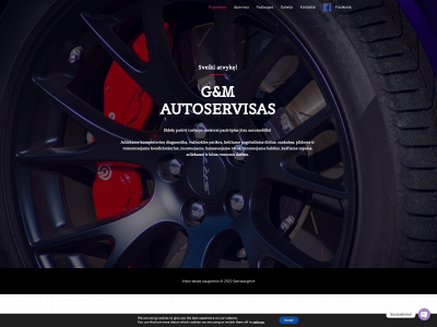servisasgm.lt snapshot