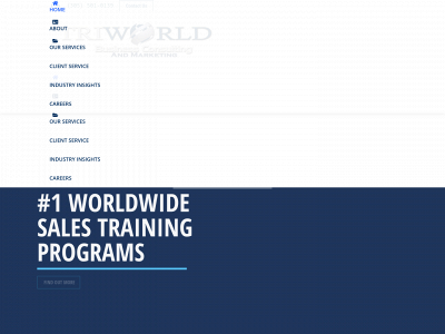 triworldinc.com snapshot