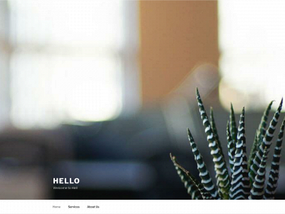 twistalarm.com snapshot