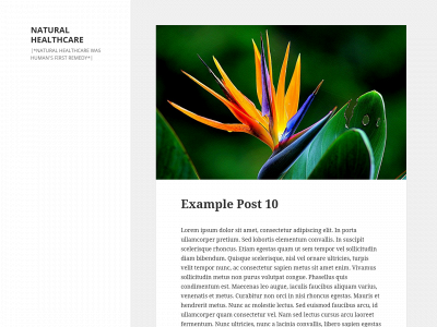 mybesthealthnaturally.com snapshot