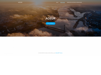 aoeur.org snapshot