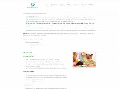 peakabaservices.com snapshot