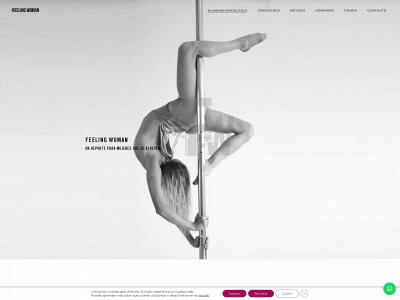 feelingwoman.com snapshot