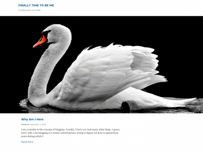 finallytimetobeme.com snapshot