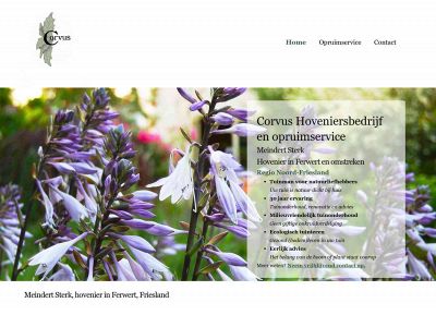 meindertsterk.nl snapshot
